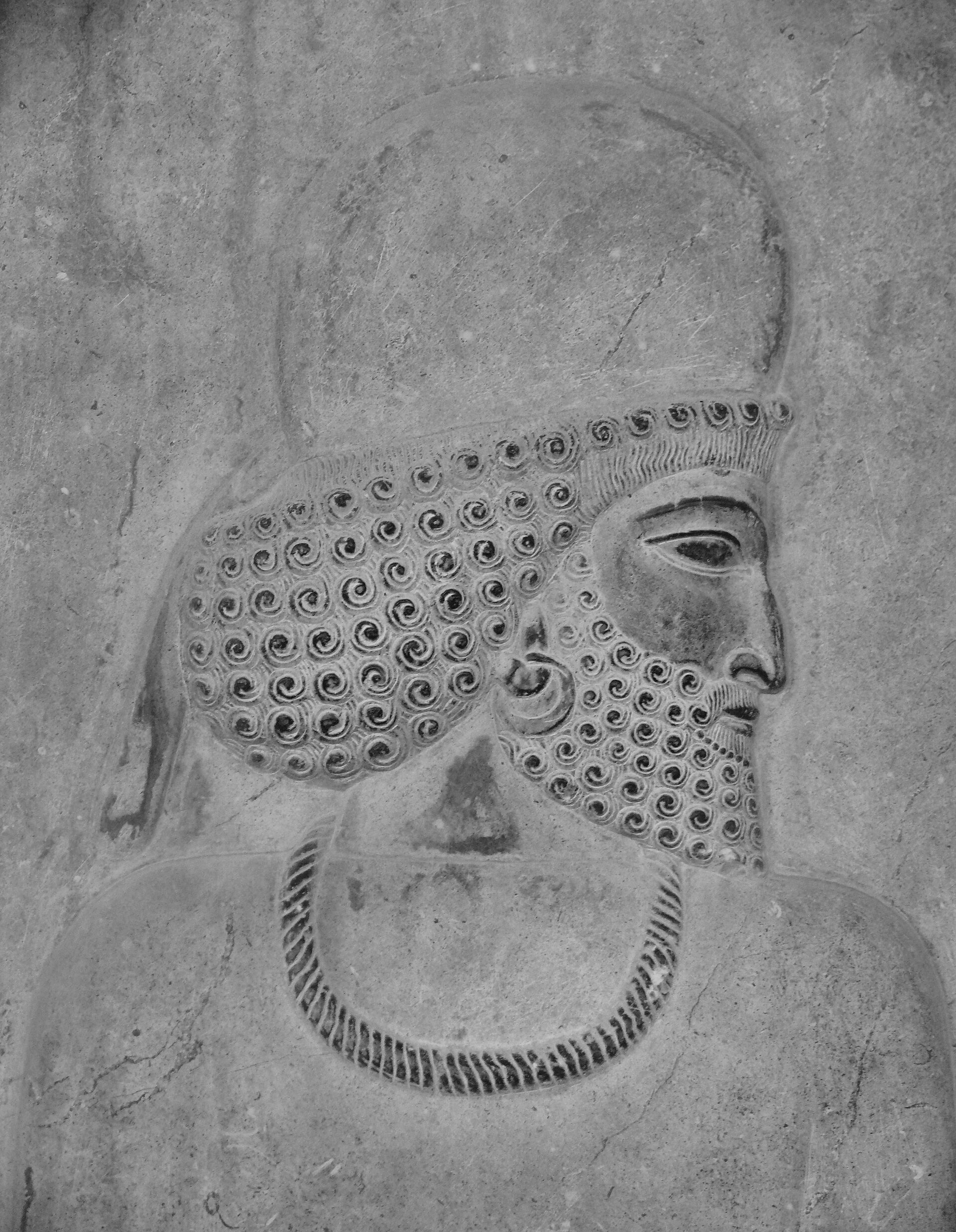 Persepolis Apadana relief tribute bearers Achaemenid Empire