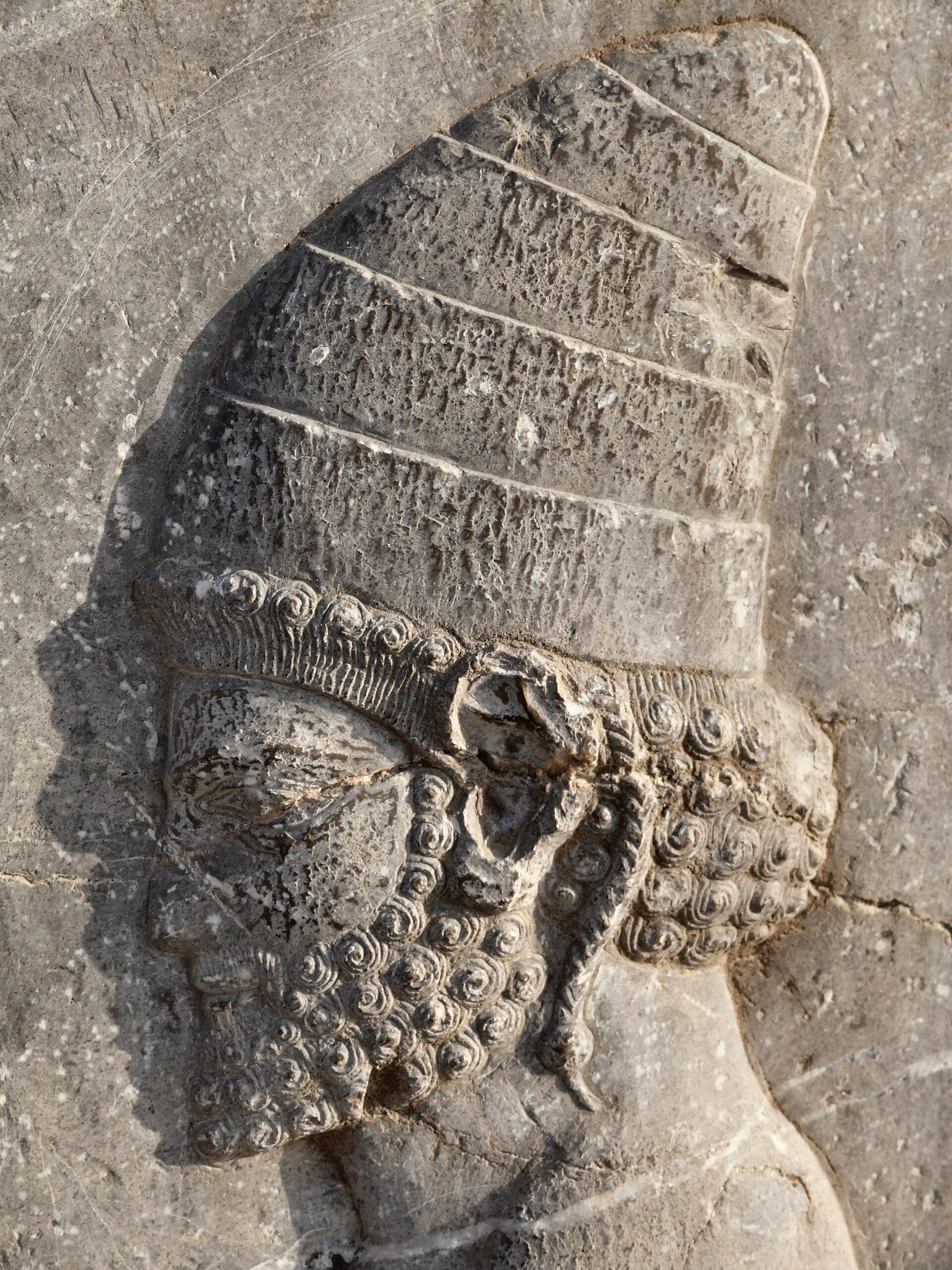 Persepolis Apadana relief tribute bearers detail